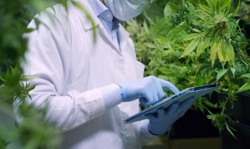 Cannabusiness-5