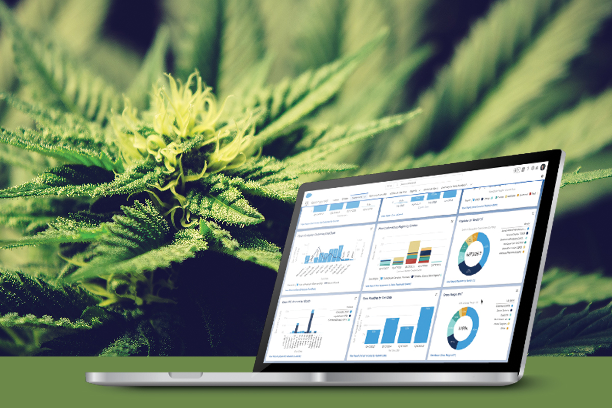 Dramatic Growth Moves Cannabusiness Industry to Cloud ERP