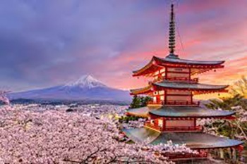 Rootstock-Japan