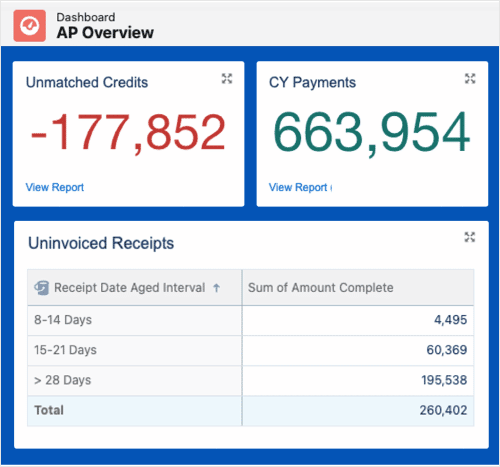 Software dashboard charts showing accounts payable analytics