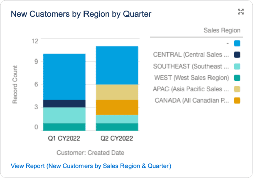 ERP Software reporting chart showing new customers by region and quarter