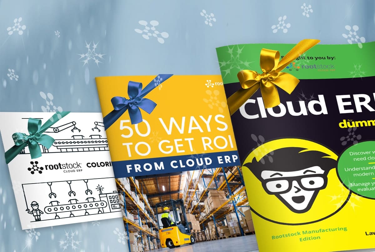 5 Perfect Holiday Gifts for Legacy ERP Users